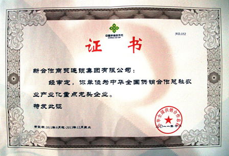 中國供銷集團(tuán)